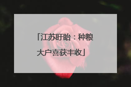 江苏盱眙:种粮大户喜获丰收
