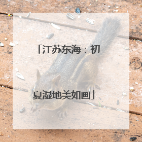 江苏东海：初夏湿地美如画