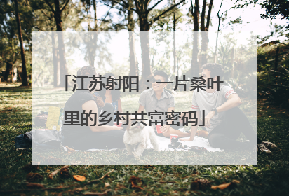 江苏射阳：一片桑叶里的乡村共富密码