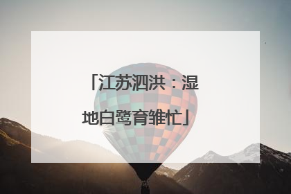 江苏泗洪：湿地白鹭育雏忙