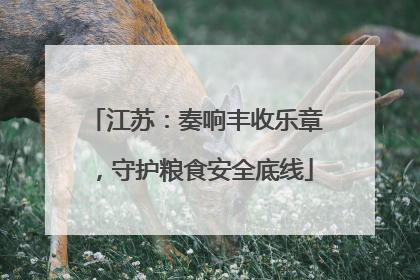 江苏：奏响丰收乐章，守护粮食安全底线