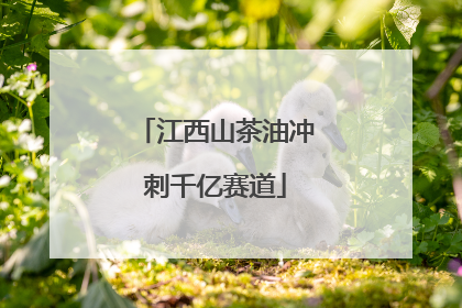 江西山茶油冲刺千亿赛道