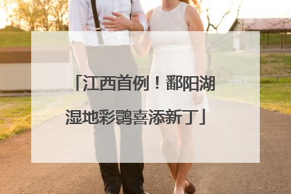 江西首例！鄱阳湖湿地彩鹮喜添新丁