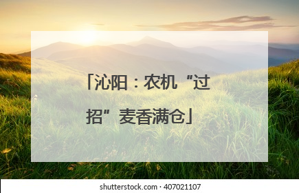 沁阳：农机“过招”麦香满仓