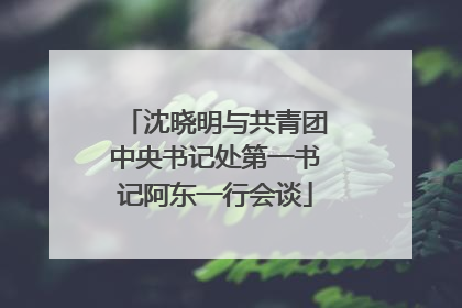 沈晓明与共青团中央书记处第一书记阿东一行会谈