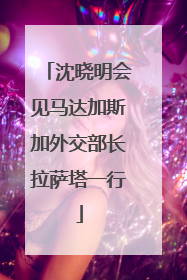 沈晓明会见马达加斯加外交部长拉萨塔一行