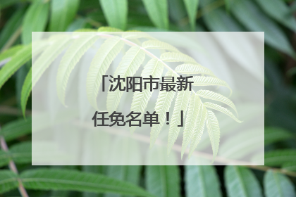 沈阳市最新任免名单！