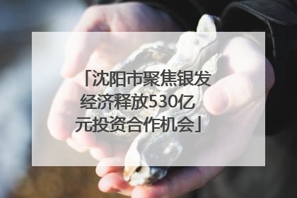 沈阳市聚焦银发经济释放530亿元投资合作机会