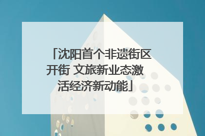 沈阳首个非遗街区开街 文旅新业态激活经济新动能