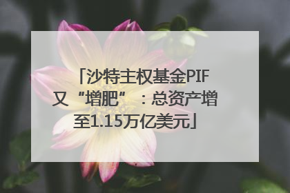 沙特主权基金PIF又“增肥”：总资产增至1.15万亿美元
