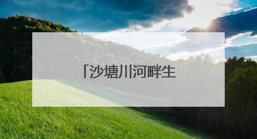 沙塘川河畔生态文旅产业兴