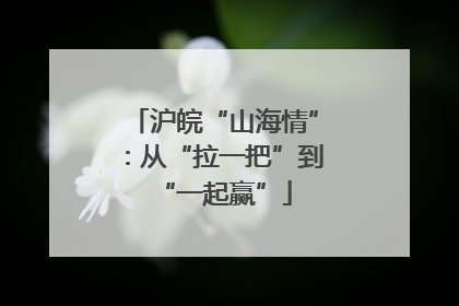 沪皖“山海情”：从“拉一把”到“一起赢”
