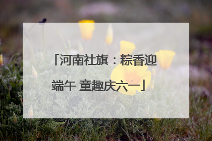 河南社旗：粽香迎端午 童趣庆六一