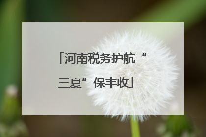 河南税务护航“三夏”保丰收