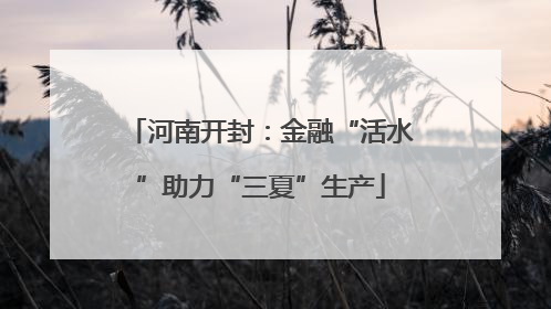 河南开封：金融“活水”助力“三夏”生产