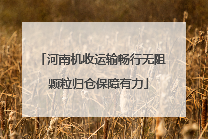 河南机收运输畅行无阻 颗粒归仓保障有力