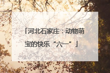 河北石家庄：动物萌宝的快乐“六一”