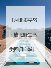 河北秦皇岛：放飞野生鸟类回归自然