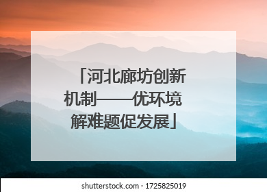 河北廊坊创新机制——优环境解难题促发展