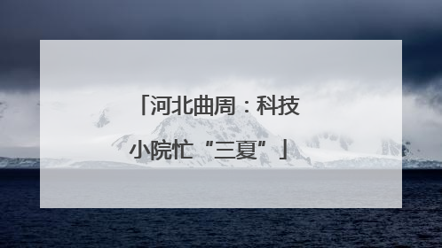 河北曲周：科技小院忙“三夏”