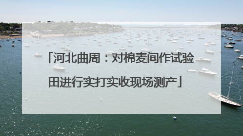 河北曲周：对棉麦间作试验田进行实打实收现场测产