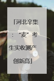 河北辛集：“麦”考生实收测产创新高