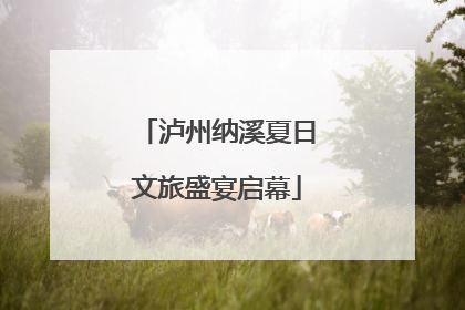 泸州纳溪夏日文旅盛宴启幕