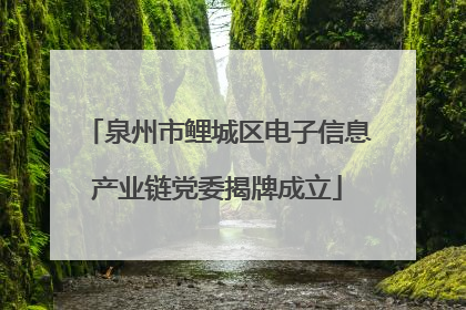 泉州市鲤城区电子信息产业链党委揭牌成立
