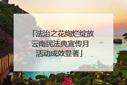 法治之花绚烂绽放 云南民法典宣传月活动成效显著