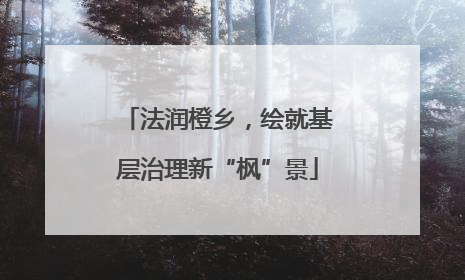法润橙乡，绘就基层治理新“枫”景
