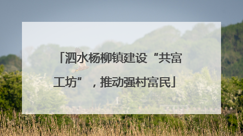 泗水杨柳镇建设“共富工坊”，推动强村富民