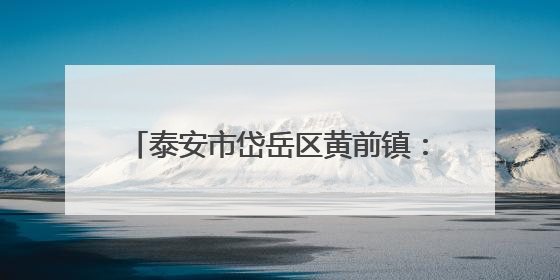 泰安市岱岳区黄前镇：小学生“沉浸式”学传统 粽香荷包暖夕阳