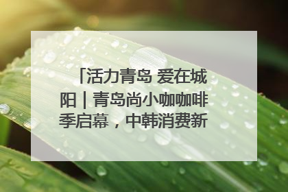 活力青岛 爱在城阳｜青岛尚小咖咖啡季启幕，中韩消费新场景点燃夏日热情