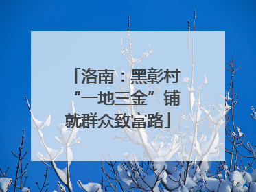洛南：黑彰村“一地三金”铺就群众致富路