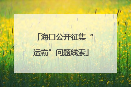 海口公开征集“运霸”问题线索