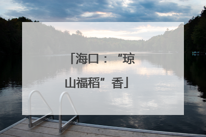 海口：“琼山福稻”香