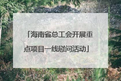 海南省总工会开展重点项目一线慰问活动