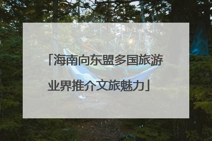 海南向东盟多国旅游业界推介文旅魅力
