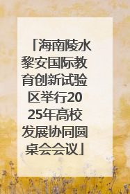 海南陵水黎安国际教育创新试验区举行2025年高校发展协同圆桌会会议