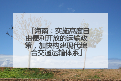 海南：实施高度自由便利开放的运输政策，加快构建现代综合交通运输体系