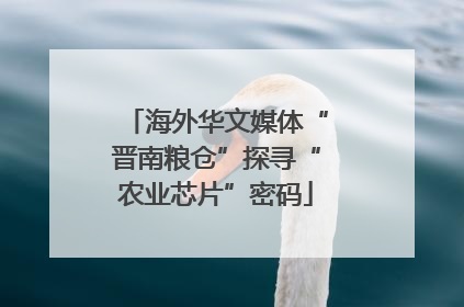 海外华文媒体“晋南粮仓”探寻“农业芯片”密码