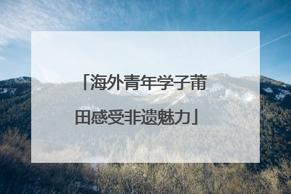 海外青年学子莆田感受非遗魅力