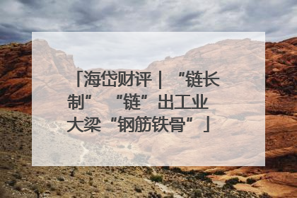 海岱财评｜“链长制” “链”出工业大梁“钢筋铁骨”