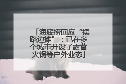 海底捞回应“摆路边摊”：已在多个城市开设了露营火锅等户外业态