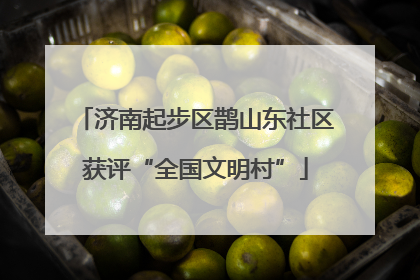济南起步区鹊山东社区获评“全国文明村”