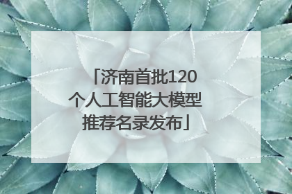 济南首批120个人工智能大模型推荐名录发布