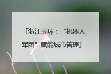 浙江玉环：“机器人军团”赋能城市管理