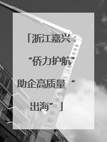 浙江嘉兴：“侨力护航”助企高质量“出海”