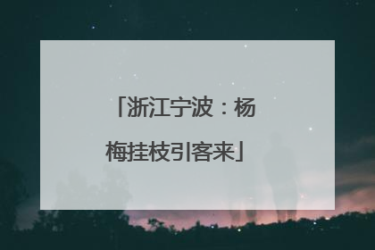 浙江宁波：杨梅挂枝引客来