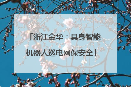 浙江金华：具身智能机器人巡电网保安全